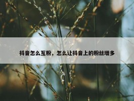 抖音怎么互粉，怎么让抖音上的粉丝增多