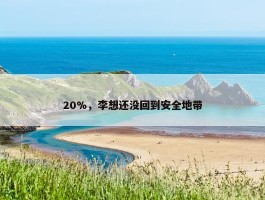 20%，李想还没回到安全地带