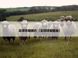 足球球服图片（足球球服图案）