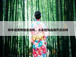 轿车挂宠物箱违法吗，小车挂饰品摆件违法吗