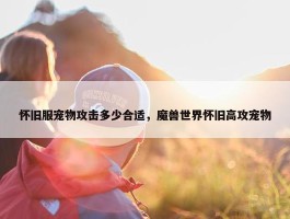 怀旧服宠物攻击多少合适，魔兽世界怀旧高攻宠物