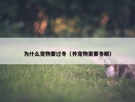 为什么宠物要过冬（养宠物需要冬眠）