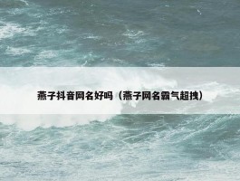 燕子抖音网名好吗（燕子网名霸气超拽）