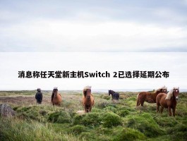 消息称任天堂新主机Switch 2已选择延期公布