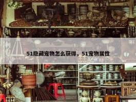 51隐藏宠物怎么获得，51宠物属性