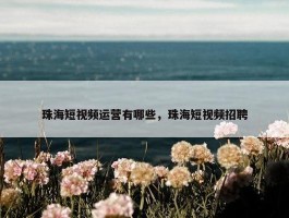 珠海短视频运营有哪些，珠海短视频招聘