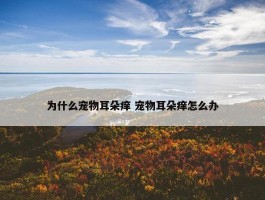 为什么宠物耳朵痒 宠物耳朵痒怎么办