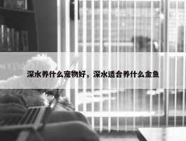 深水养什么宠物好，深水适合养什么金鱼