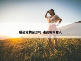 碰瓷宠物合法吗 碰瓷骗狗主人