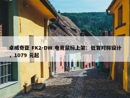 卓威奇亚 FK2-DW 电竞鼠标上架：低背对称设计，1079 元起