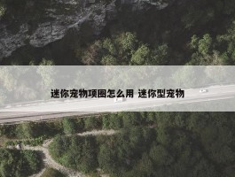 迷你宠物项圈怎么用 迷你型宠物