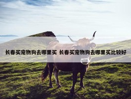 长春买宠物狗去哪里买 长春买宠物狗去哪里买比较好