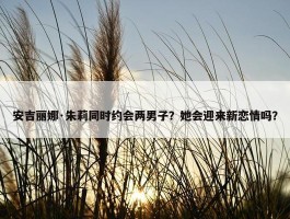 安吉丽娜·朱莉同时约会两男子？她会迎来新恋情吗？