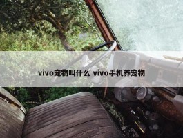 vivo宠物叫什么 vivo手机养宠物