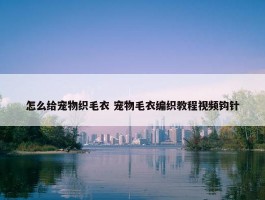 怎么给宠物织毛衣 宠物毛衣编织教程视频钩针