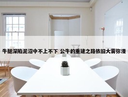 牛腿深陷泥沼中不上不下 公牛的重建之路依旧大雾弥漫