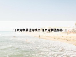 什么宠物最值得抽出 什么宠物值得养