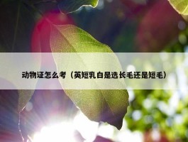 动物证怎么考（英短乳白是选长毛还是短毛）