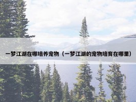 一梦江湖在哪培养宠物（一梦江湖的宠物培育在哪里）