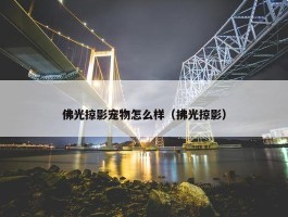 佛光掠影宠物怎么样（拂光掠影）