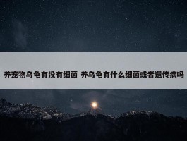 养宠物乌龟有没有细菌 养乌龟有什么细菌或者遗传病吗