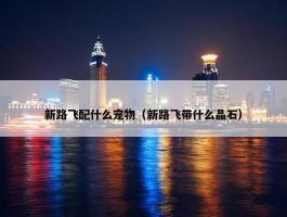 新路飞配什么宠物（新路飞带什么晶石）