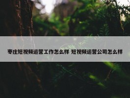 枣庄短视频运营工作怎么样 短视频运营公司怎么样