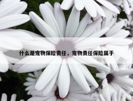 什么是宠物保险责任，宠物责任保险属于