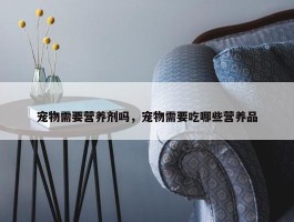 宠物需要营养剂吗，宠物需要吃哪些营养品