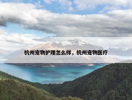 杭州宠物护理怎么样，杭州宠物医疗