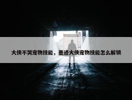 大侠不哭宠物技能，墨迹大侠宠物技能怎么解锁