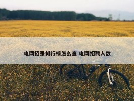 电网招录排行榜怎么查 电网招聘人数