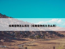 炫舞宠物怎么炼化（炫舞宠物炼化怎么弄）