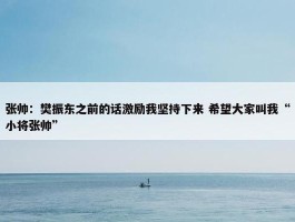 张帅：樊振东之前的话激励我坚持下来 希望大家叫我“小将张帅”