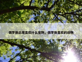 俄罗斯总理喜欢什么宠物，俄罗斯喜欢的动物