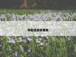 快船送出哈里斯