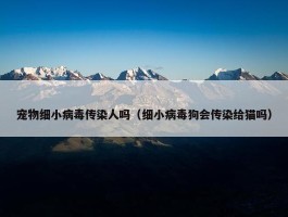 宠物细小病毒传染人吗（细小病毒狗会传染给猫吗）