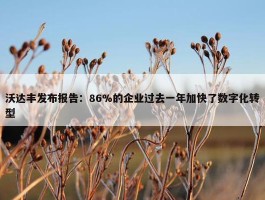 沃达丰发布报告：86%的企业过去一年加快了数字化转型