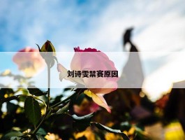 刘诗雯禁赛原因