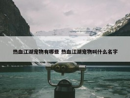 热血江湖宠物有哪些 热血江湖宠物叫什么名字