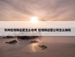 钦州短视频运营怎么收费 短视频运营公司怎么赚钱