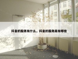 抖音的服务有什么，抖音的服务商有哪些