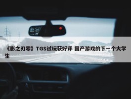 《影之刃零》TGS试玩获好评 国产游戏的下一个大学生