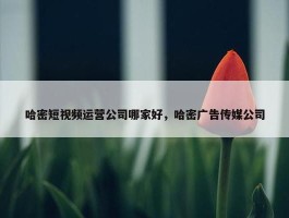 哈密短视频运营公司哪家好，哈密广告传媒公司