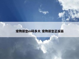 宠物尿垫m码多大 宠物尿垫正反面