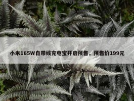 小米165W自带线充电宝开启预售，预售价199元