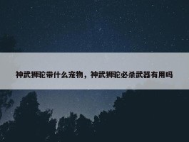 神武狮驼带什么宠物，神武狮驼必杀武器有用吗