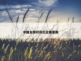 中国女排对荷兰比赛录像