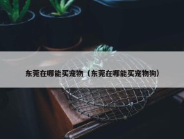 东莞在哪能买宠物（东莞在哪能买宠物狗）