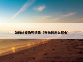 如何给宠物鸭消毒（宠物鸭怎么驱虫）